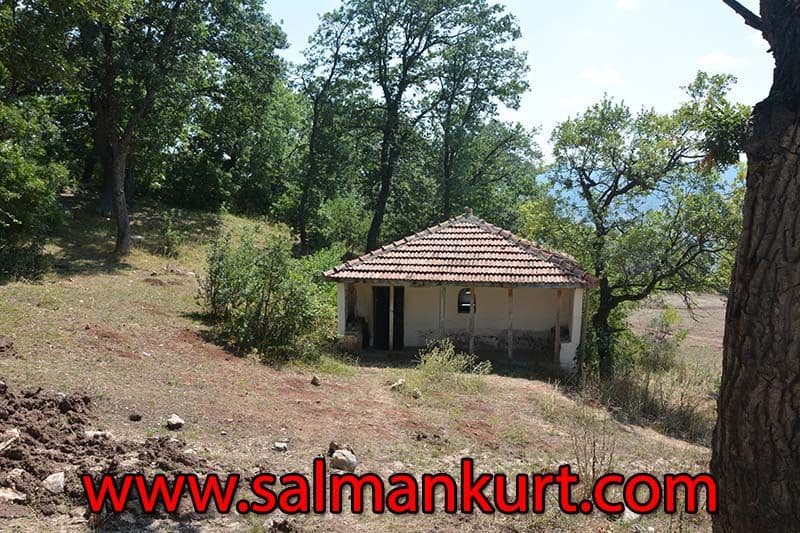 Cruise Excursions Turkey Cruise Excursions Turkey