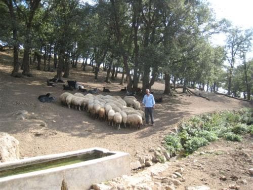 Ephesus and House of Virgin Mary Private Tour Ephesus and House of Virgin Mary Private Tour