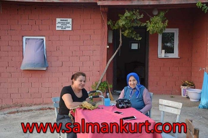 Private Tour from Kusadasi Cruise Port Private Tour from Kusadasi Cruise Port