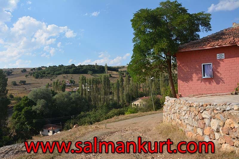 Turkish Bath Experience Turkish Bath Experience