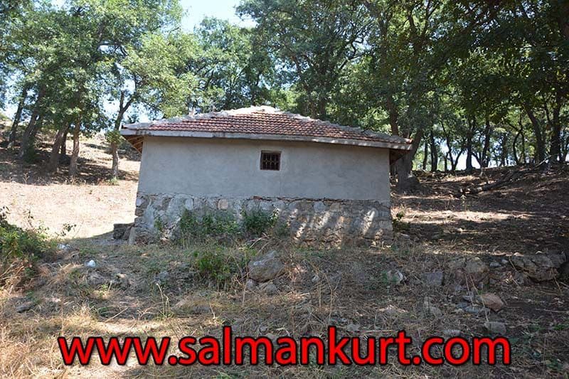 Turkish Bath Experience Turkish Bath Experience