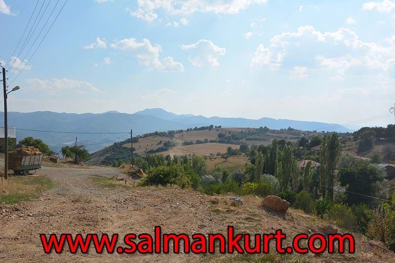 Cruise Excursions Turkey Cruise Excursions Turkey