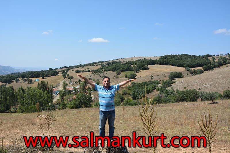 Private Ephesus Tour from Kusadasi Cruise Port Private Ephesus Tour from Kusadasi Cruise Port